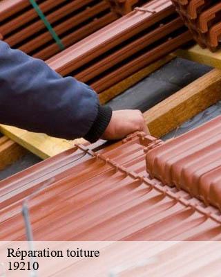 Réparation toiture montgibaud-19210 Brun Couverture