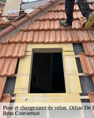Pose et changement de velux   orliac-de-bar-19390 Brun Couverture