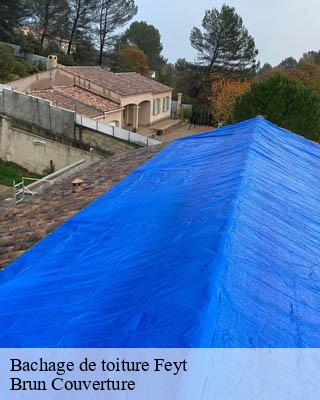 Bachage de toiture feyt-19340 Brun Couverture