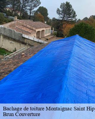 Bachage de toiture  montaignac-saint-hippolyte-19300 Brun Couverture