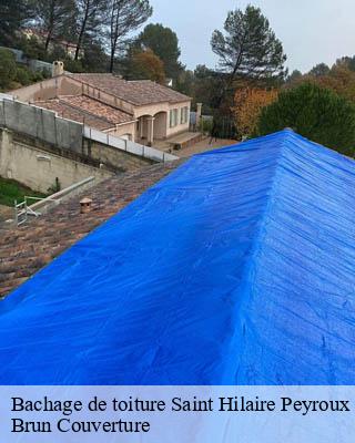 Bachage de toiture  saint-hilaire-peyroux-19560 Brun Couverture
