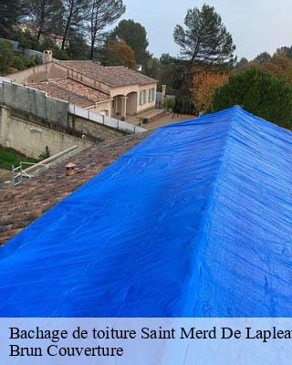 Bachage de toiture  saint-merd-de-lapleau-19320 Brun Couverture