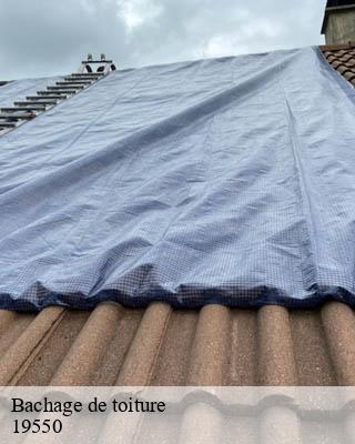 Bachage de toiture  soursac-19550 Brun Couverture