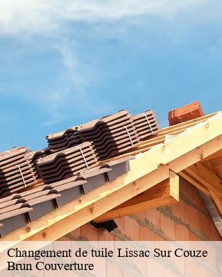 Changement de tuile  lissac-sur-couze-19600 Brun Couverture