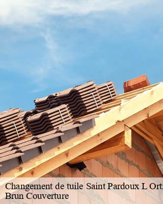 Changement de tuile  saint-pardoux-l-ortigier-19270 Brun Couverture