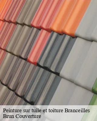 Peinture sur tuile et toiture  branceilles-19500 Brun Couverture