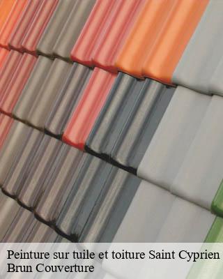 Peinture sur tuile et toiture  saint-cyprien-19130 Brun Couverture