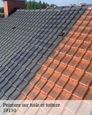 Peinture sur tuile et toiture  saint-cyprien-19130 Brun Couverture