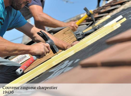 Couvreur zingueur charpentier  reygade-19430 Brun Couverture