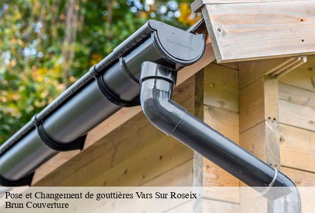 Pose et Changement de gouttières  vars-sur-roseix-19130 Brun Couverture