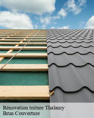 Rénovation toiture  thalamy-19200 Brun Couverture