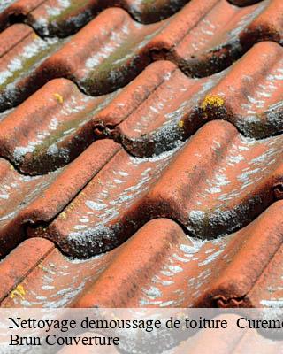 Nettoyage demoussage de toiture   curemonte-19500 Brun Couverture