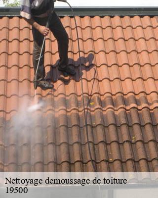 Nettoyage demoussage de toiture   curemonte-19500 Brun Couverture